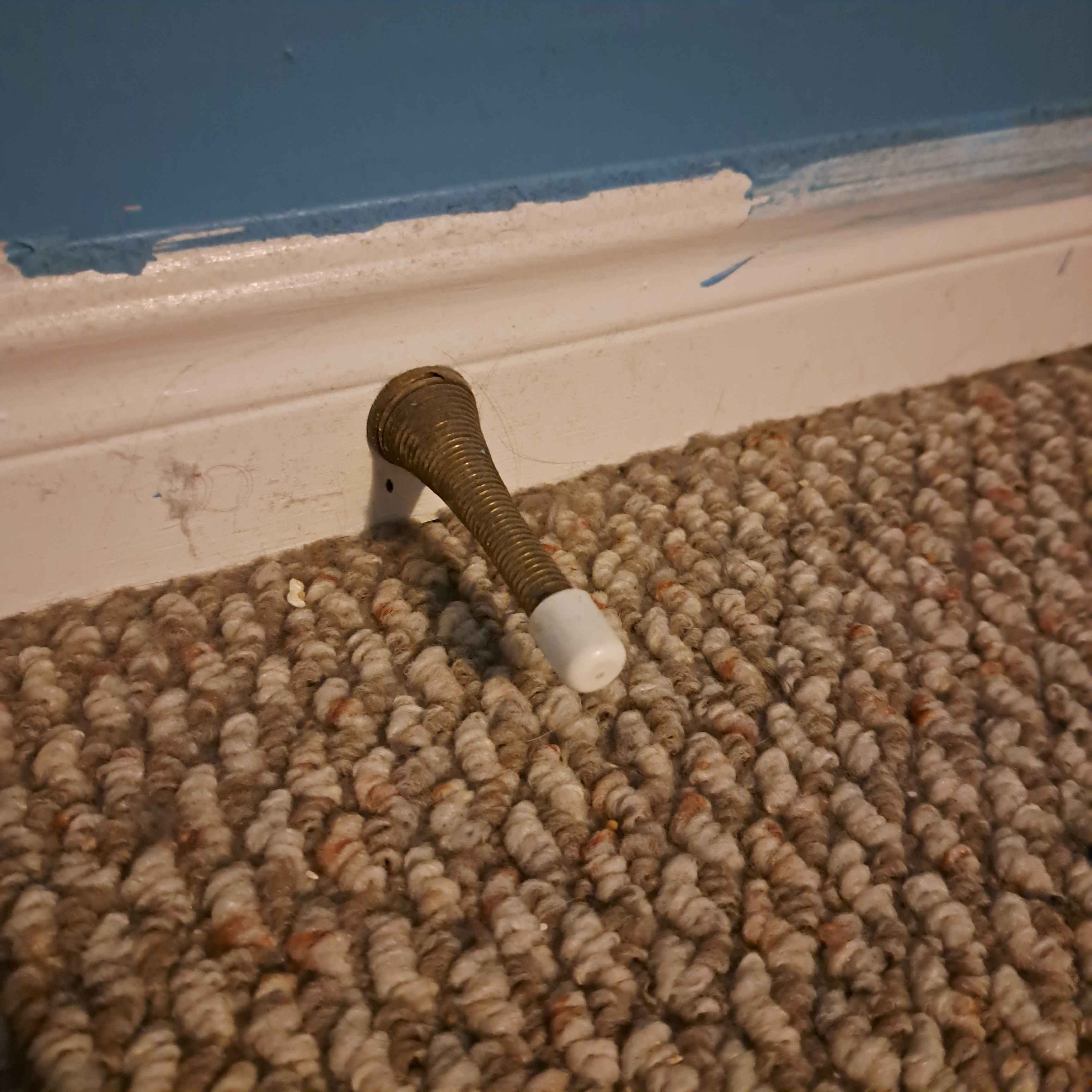 one of those springey doorstops kids like to play with<br><audio controls src='audio/doorstop.mp3'></audio>